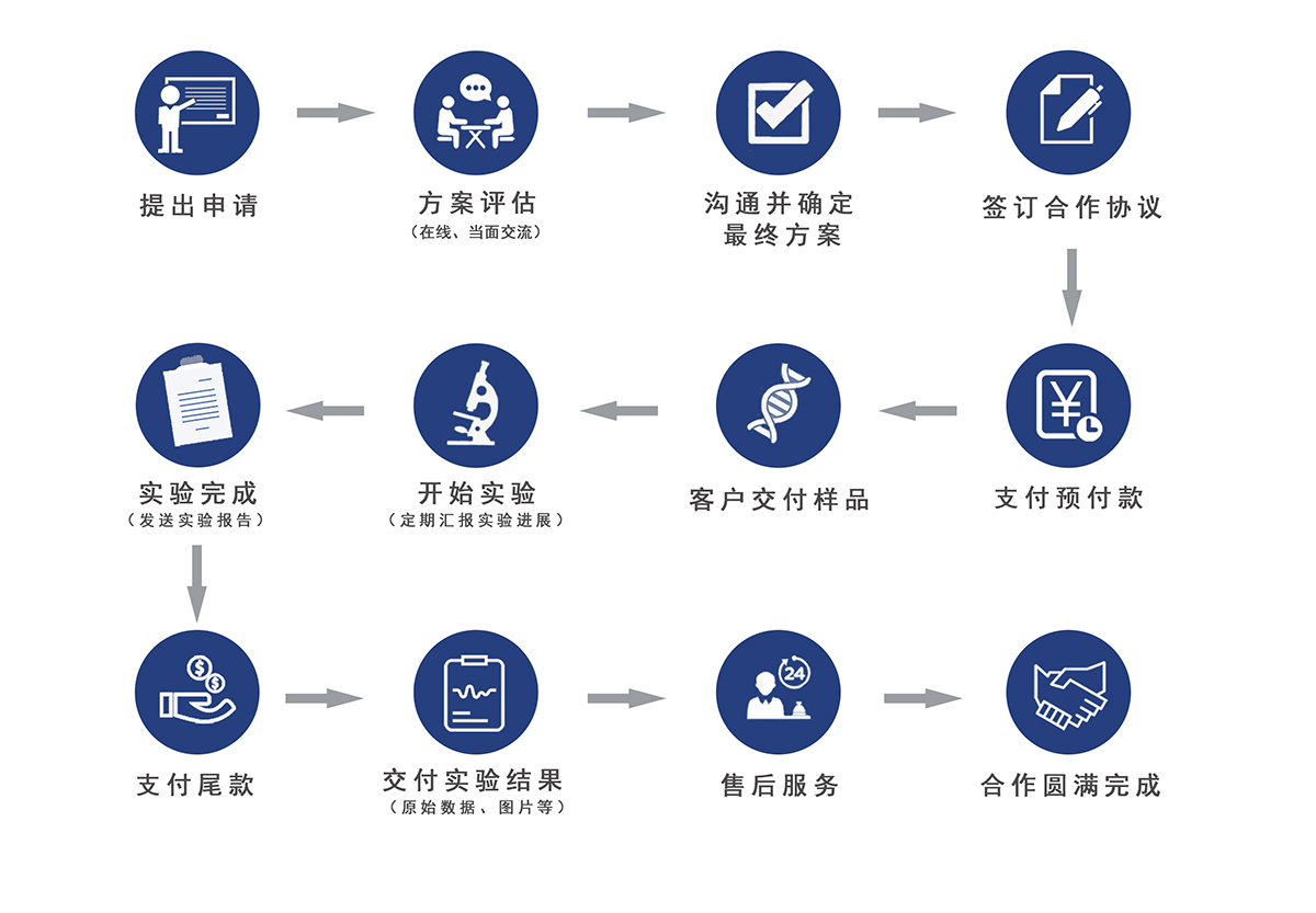 买球官网手机版·(中国)官方网站服务流程